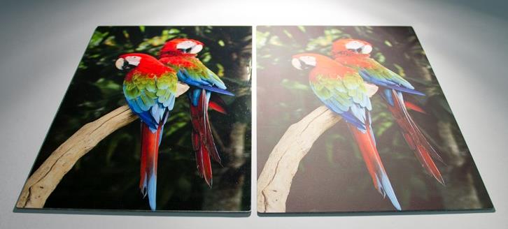 Compare Glossy and Matte